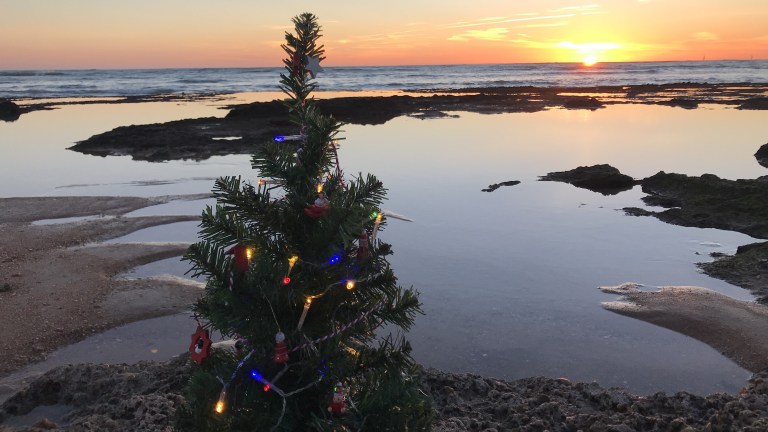 Feliz_2019_Playa_Cádiz